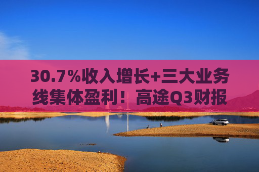 30.7%收入增长+三大业务线集体盈利！高途Q3财报提交出众成绩单  第1张