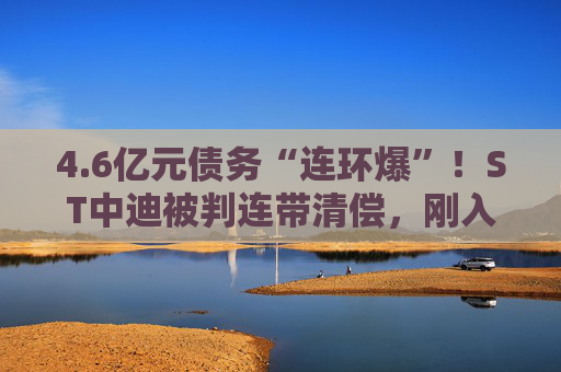 4.6亿元债务“连环爆”！ST中迪被判连带清偿，刚入主新东家迎艰难开局，核心资产恐将被强制拍卖