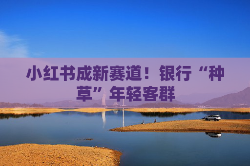 小红书成新赛道！银行“种草”年轻客群