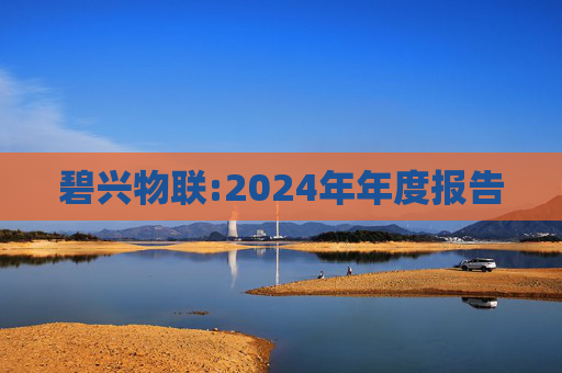 碧兴物联:2024年年度报告  第1张