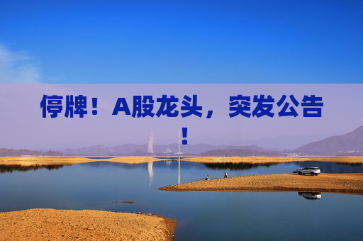 停牌！A股龙头，突发公告！