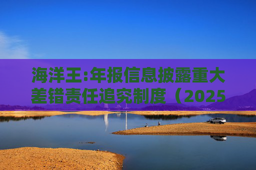 海洋王:年报信息披露重大差错责任追究制度（2025年12月）