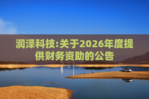润泽科技:关于2026年度提供财务资助的公告  第1张