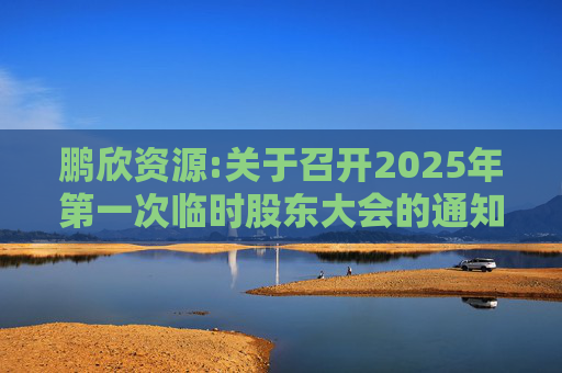 鹏欣资源:关于召开2025年第一次临时股东大会的通知