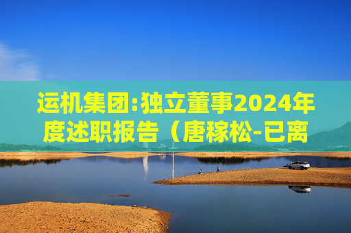 运机集团:独立董事2024年度述职报告（唐稼松-已离任）  第1张