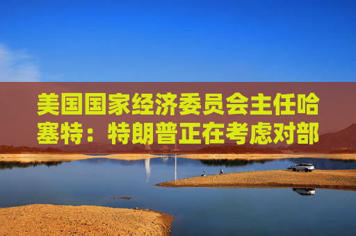 美国国家经济委员会主任哈塞特：特朗普正在考虑对部分国家暂停90天的关税