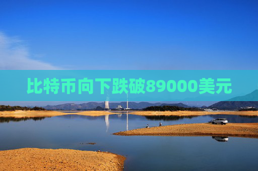 比特币向下跌破89000美元  第1张