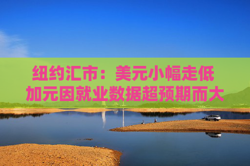 纽约汇市：美元小幅走低 加元因就业数据超预期而大幅上涨