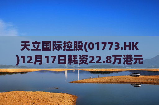 天立国际控股(01773.HK)12月17日耗资22.8万港元回购10万股