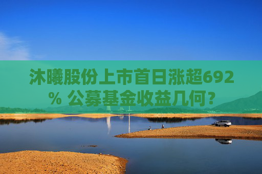 沐曦股份上市首日涨超692% 公募基金收益几何？  第1张