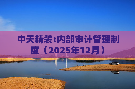 中天精装:内部审计管理制度（2025年12月）  第1张