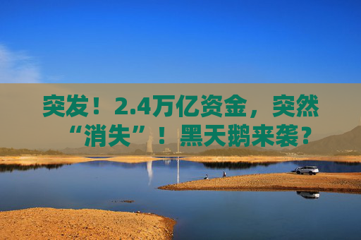突发！2.4万亿资金，突然“消失”！黑天鹅来袭？