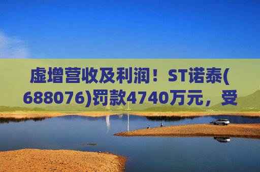 虚增营收及利润！ST诺泰(688076)罚款4740万元，受损投资者可索赔！