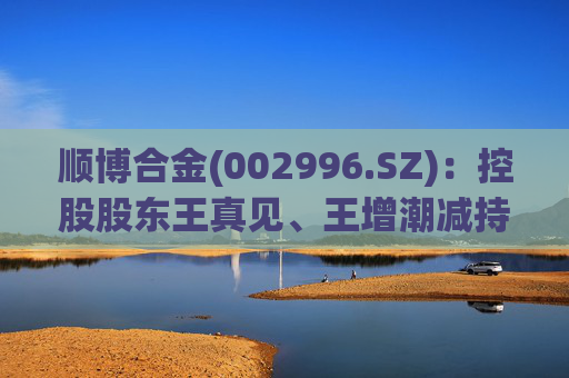 顺博合金(002996.SZ)：控股股东王真见、王增潮减持1371.88万股公司股份