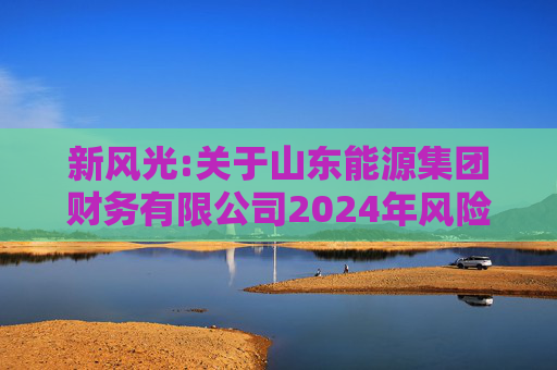 新风光:关于山东能源集团财务有限公司2024年风险评估报告