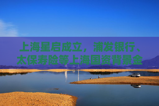 上海星启成立，浦发银行、太保寿险等上海国资背景金融机构参与  第1张