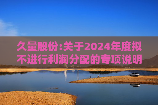 久量股份:关于2024年度拟不进行利润分配的专项说明