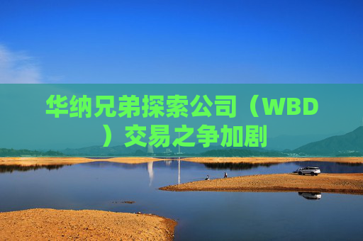 华纳兄弟探索公司（WBD）交易之争加剧