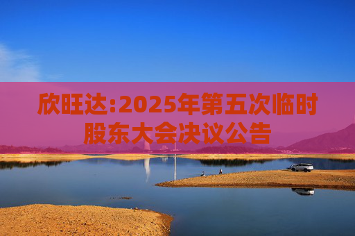 欣旺达:2025年第五次临时股东大会决议公告