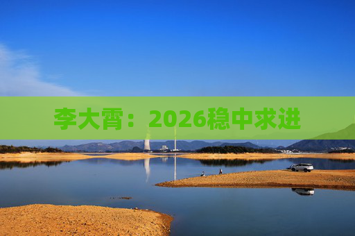 李大霄：2026稳中求进