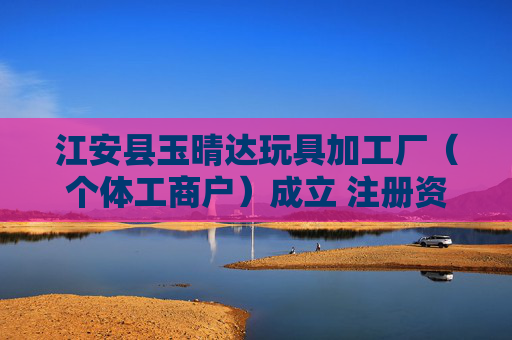 江安县玉晴达玩具加工厂（个体工商户）成立 注册资本10万人民币  第1张