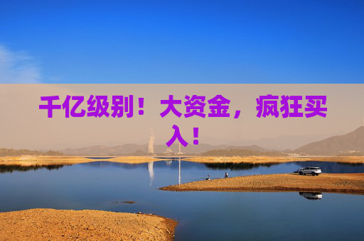 千亿级别！大资金，疯狂买入！