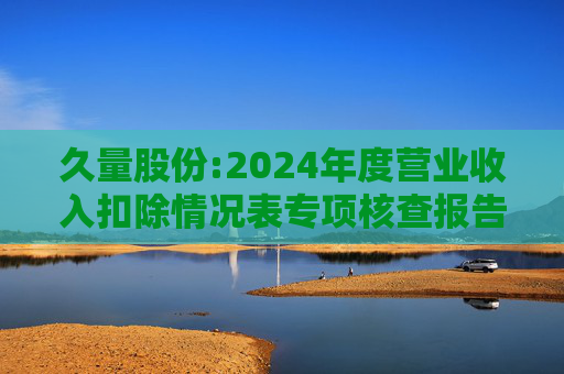 久量股份:2024年度营业收入扣除情况表专项核查报告  第1张
