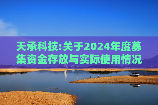 天承科技:关于2024年度募集资金存放与实际使用情况的专项报告  第1张