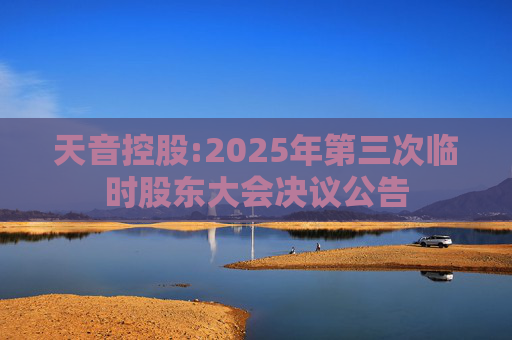天音控股:2025年第三次临时股东大会决议公告