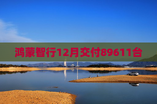 鸿蒙智行12月交付89611台