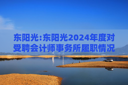东阳光:东阳光2024年度对受聘会计师事务所履职情况的评估报告
