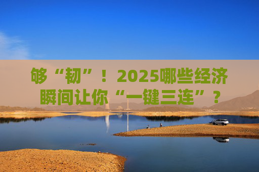够“韧”！2025哪些经济瞬间让你“一键三连”？
