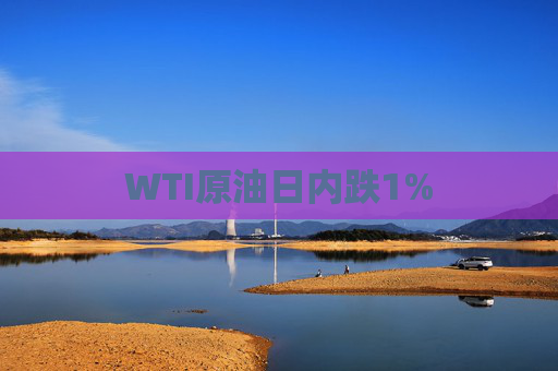 WTI原油日内跌1%
