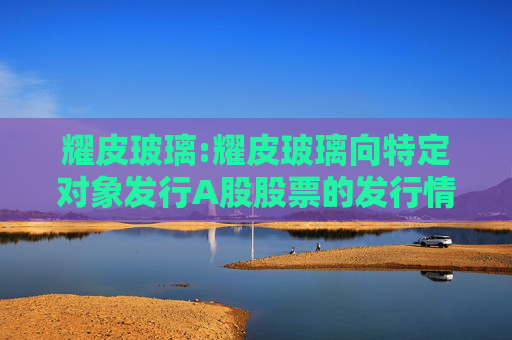 耀皮玻璃:耀皮玻璃向特定对象发行A股股票的发行情况报告书