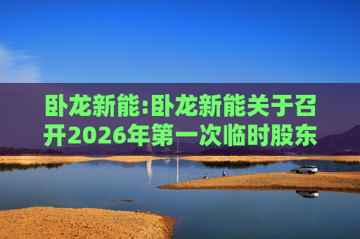 卧龙新能:卧龙新能关于召开2026年第一次临时股东会的通知