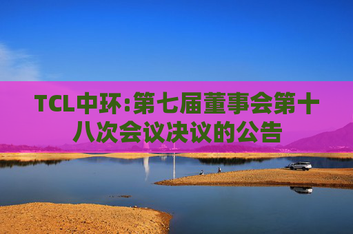 TCL中环:第七届董事会第十八次会议决议的公告