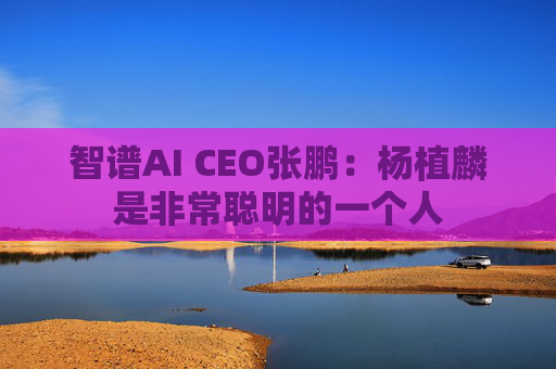 智谱AI CEO张鹏：杨植麟是非常聪明的一个人