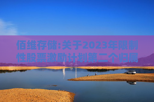 佰维存储:关于2023年限制性股票激励计划第二个归属期（第二批次）、2024年限制性股票激励计划首次授予第一个归属期（第二批次）归属结果暨股份上市的公告