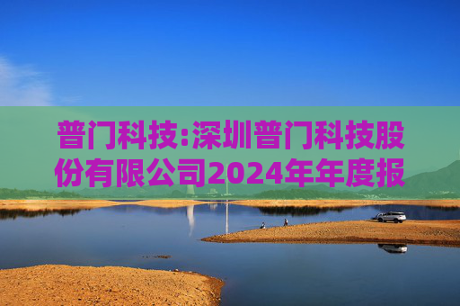 普门科技:深圳普门科技股份有限公司2024年年度报告  第1张