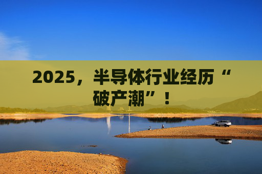 2025，半导体行业经历“破产潮”！  第1张