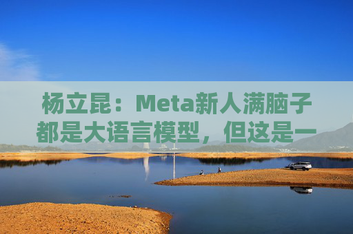 杨立昆：Meta新人满脑子都是大语言模型，但这是一条死胡同  第1张