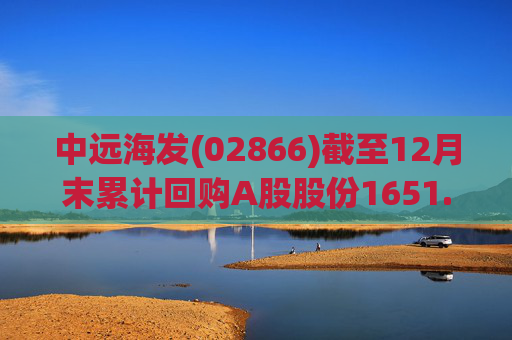 中远海发(02866)截至12月末累计回购A股股份1651.63万股