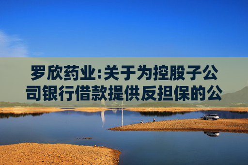 罗欣药业:关于为控股子公司银行借款提供反担保的公告