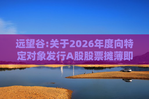 远望谷:关于2026年度向特定对象发行A股股票摊薄即期回报及填补措施和相关主体承诺的公告