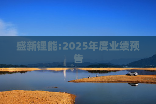 盛新锂能:2025年度业绩预告  第1张