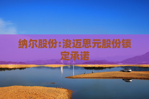 纳尔股份:浚迈思元股份锁定承诺  第1张