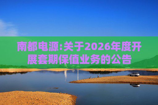 南都电源:关于2026年度开展套期保值业务的公告