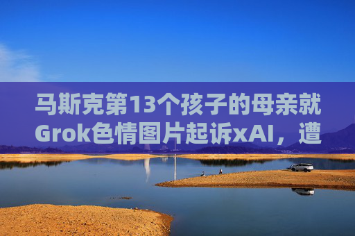 马斯克第13个孩子的母亲就Grok色情图片起诉xAI，遭后者反诉