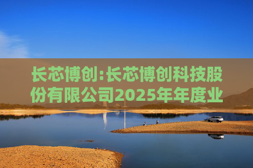 长芯博创:长芯博创科技股份有限公司2025年年度业绩预告
