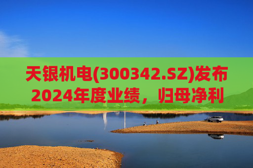天银机电(300342.SZ)发布2024年度业绩，归母净利润9040.74万元，同比增长175.80%